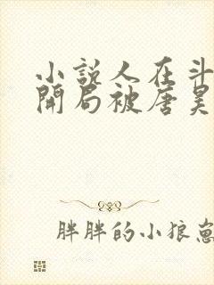 小说人在斗罗,开局被唐昊抛弃txt