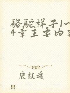 骆驼祥子1~24章主要内容