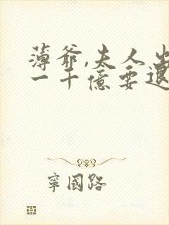 薄爷,夫人出价一千亿要退婚阅读全文免费