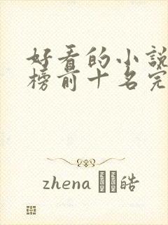 好看的小说排行榜前十名完结