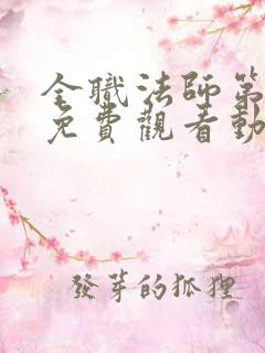 全职法师第六季免费观看动漫