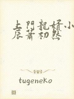 上门龙婿小说叶辰萧初然