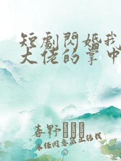 短剧闪婚我成了大佬的掌中之物