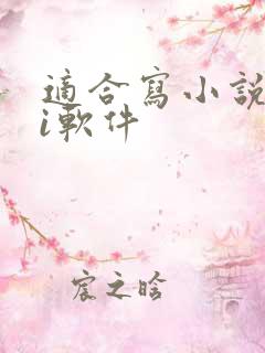 适合写小说的ai软件