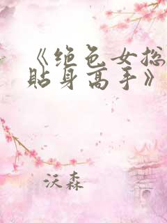 《绝色女总裁的贴身高手》