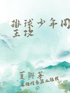 排球少年同人文主攻