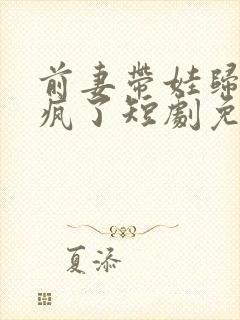 前妻带娃归来杀疯了短剧免费观看