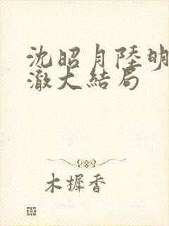 沈昭月陆明野许澈大结局