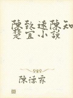 陈致远陈知韫赵楚宜小说