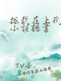 总裁在上我在下小说听书