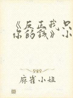 《反正我只喜欢你的钱》小说