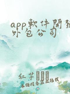 app软件开发外包公司