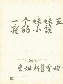 一个妹妹五个哥宠的小说