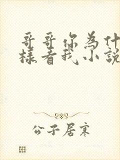 哥哥你为什么这样看我小说在线阅读