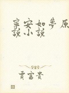 宁安如梦原著小说小说