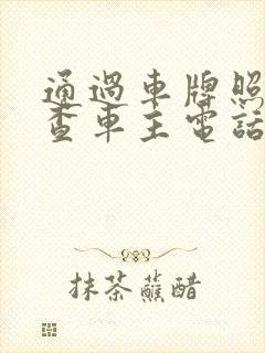 通过车牌照怎么查车主电话