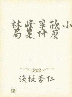 林峰宁欣小说结局是什么