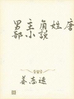 男主角姓唐的全部小说