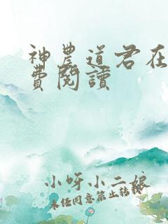 神农道君在线免费阅读