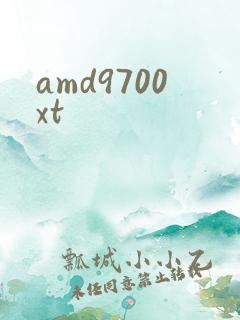 amd9700xt