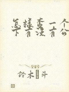 怎样查一个人名下有没有公司