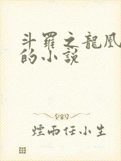 斗罗之龙凰传说的小说