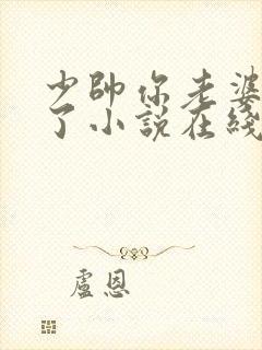 少帅你老婆又跑了小说在线阅读