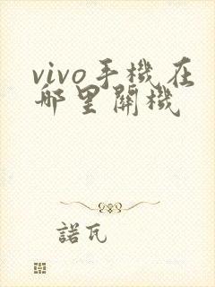 vivo手机在哪里关机