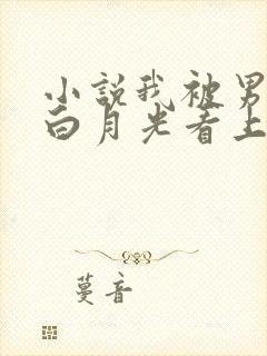 小说我被男主的白月光看上了