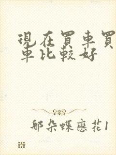 现在买车买什么车比较好