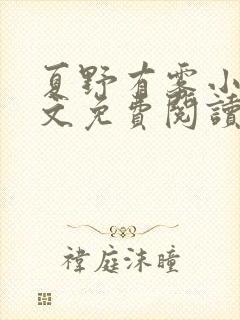 夏野有雾小说全文免费阅读