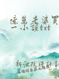 亿万老婆买一送一小说txt