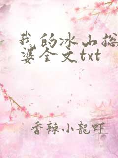 我的冰山总裁老婆全文txt