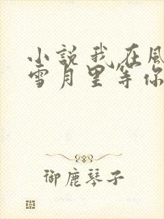 小说 我在风花雪月里等你