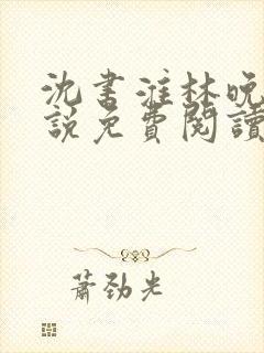 沈书淮林晚儿小说免费阅读