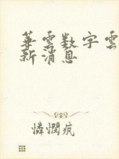 华云数字云元最新消息