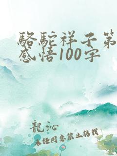 骆驼祥子第三章感悟100字