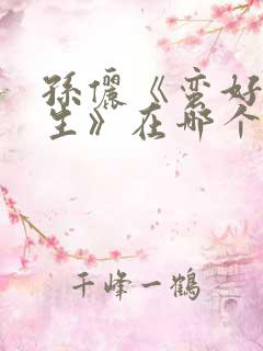 孙俪《蛮好的人生》在哪个台播出