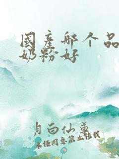 国产哪个品牌的奶粉好