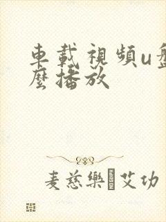 车载视频u盘怎么播放