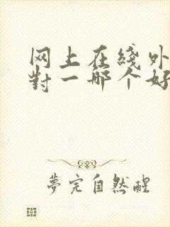 网上在线外教一对一哪个好