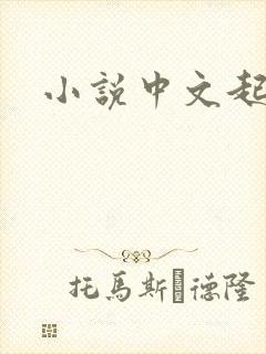 小说中文起点网