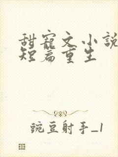 甜宠文小说推荐短篇重生