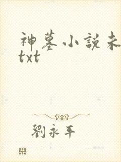 神墓小说未删版txt