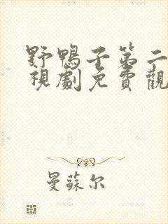 野鸭子第二部电视剧免费观看全集