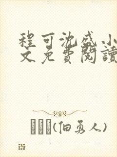 程可沈盛小说全文免费阅读