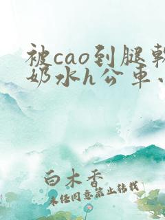 被cao到腿软奶水h公车小说