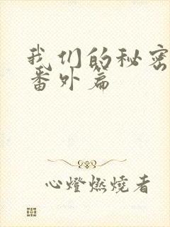 我们的秘密婚后番外篇