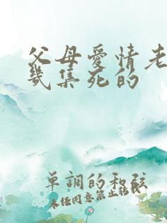 父母爱情老丁第几集死的
