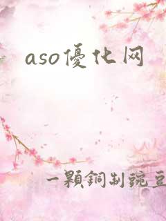 aso优化网